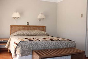 Habitación Single Ejecutiva
