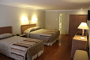 Habitación Doble Suite